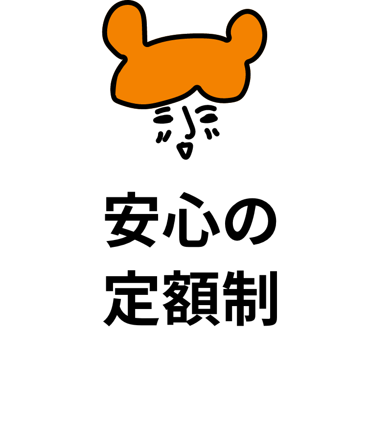 安心の定額制